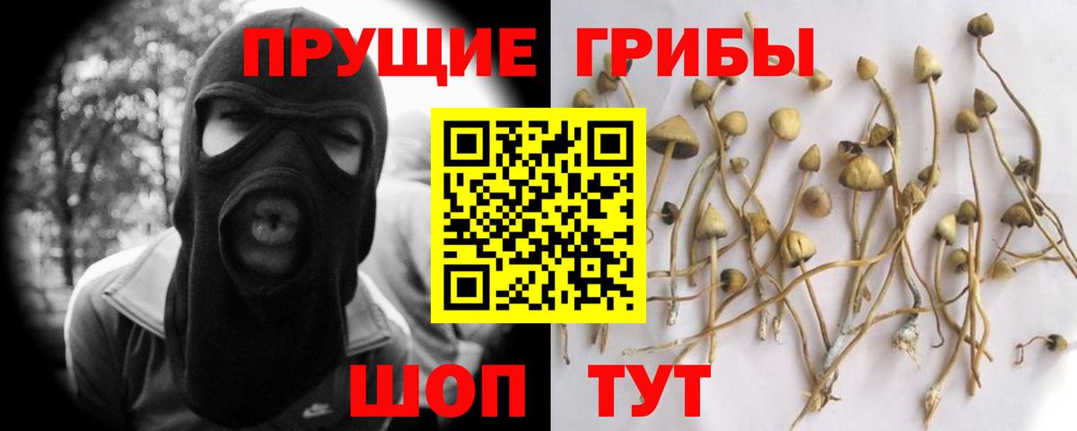 Железноводск  Галлюциногенные грибы Psilocybine cubensis  Вход с VPN 
